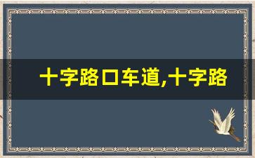 十字路口车道,十字路口相撞 右车全责